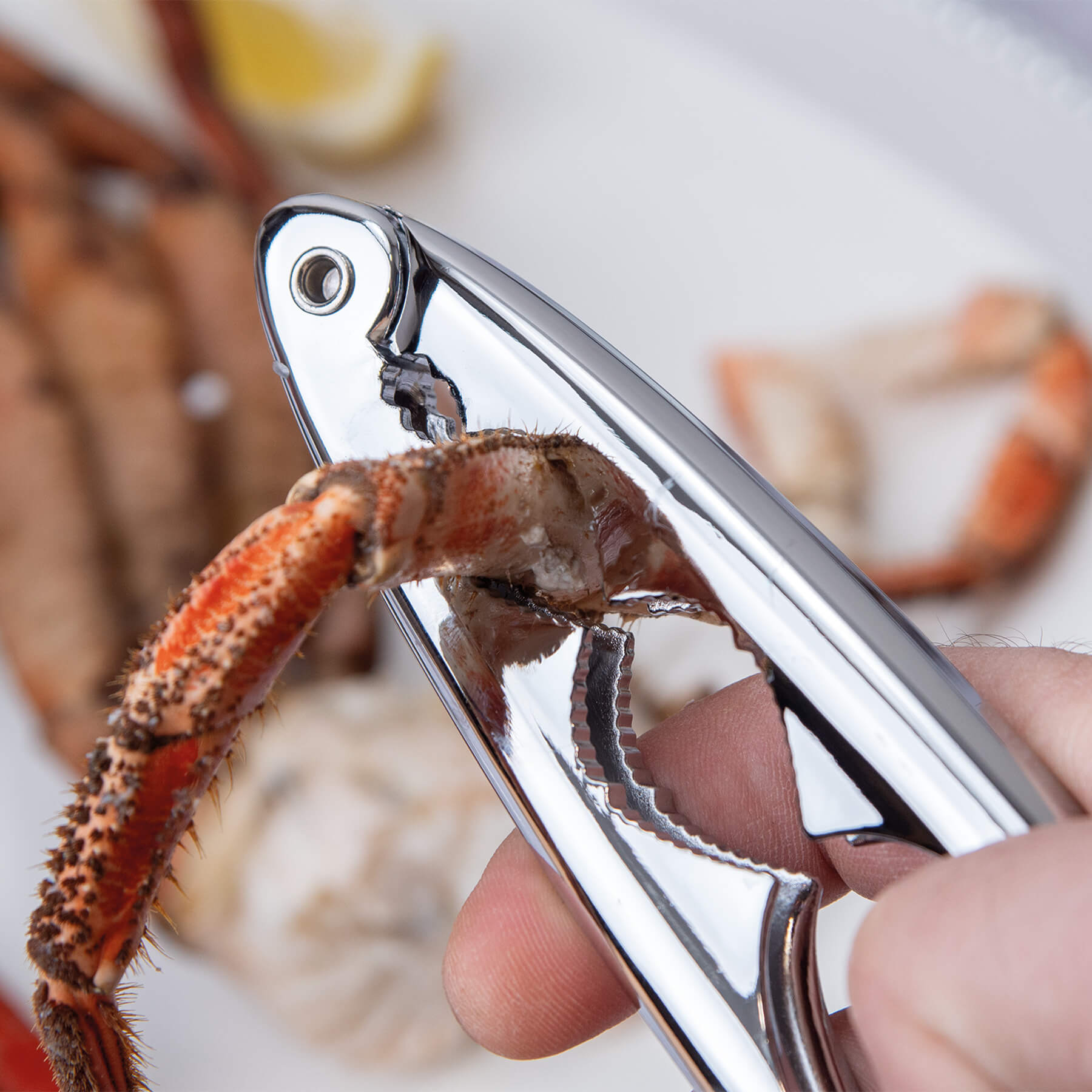 Cascanueces con muelle marisco